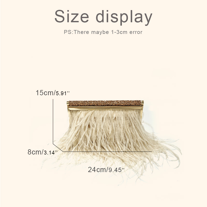 Fashion Clutch Metal frame Eve - Luxury Bags 2026 review and price
