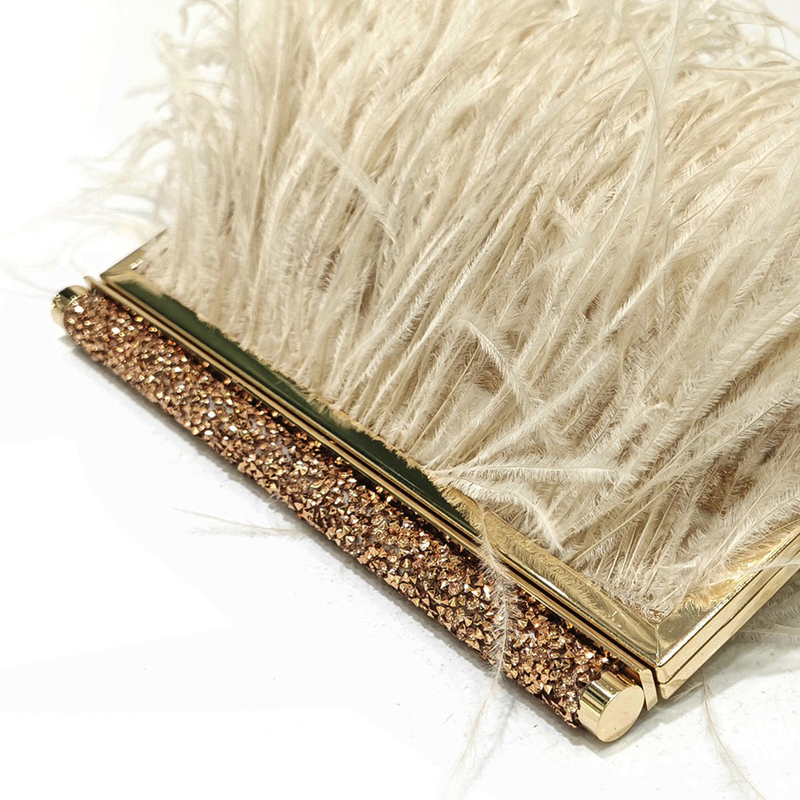 Fashion Clutch Metal frame Eve - Luxury Bags 2026 review and price
